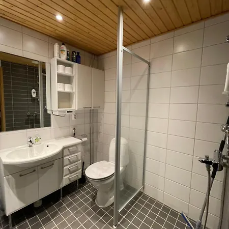 Ilmastoitu 55 M2 Huoneisto Saunalla Lahden Satamassa Lahti Extérieur photo